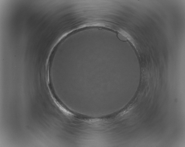 X0000071821127200606301246