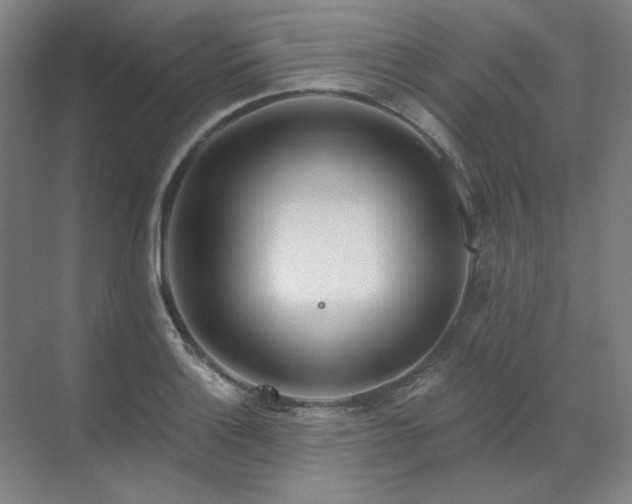 X0000071821132200606301246