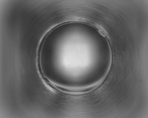 X0000071821136200606301246