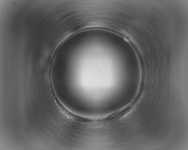 X0000071821137200606301246