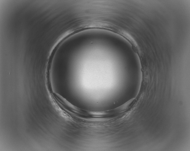 X0000071821138200606301246