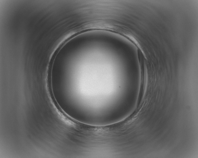 X0000071821139200606301246