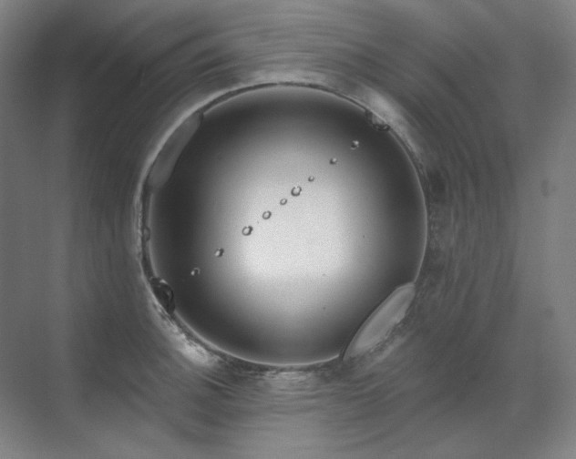 X0000071821140200606301246