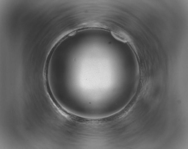 X0000071821141200606301246
