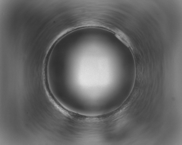 X0000071821142200606301246