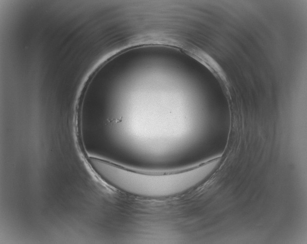 X0000071821144200606301246