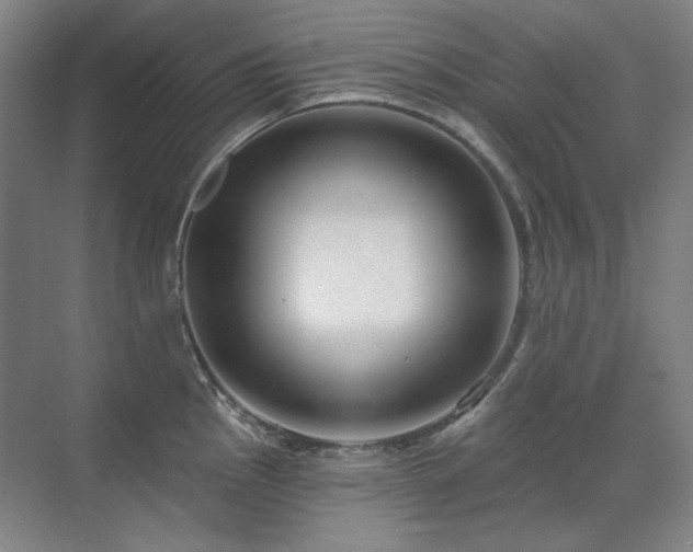 X0000071821145200606301246