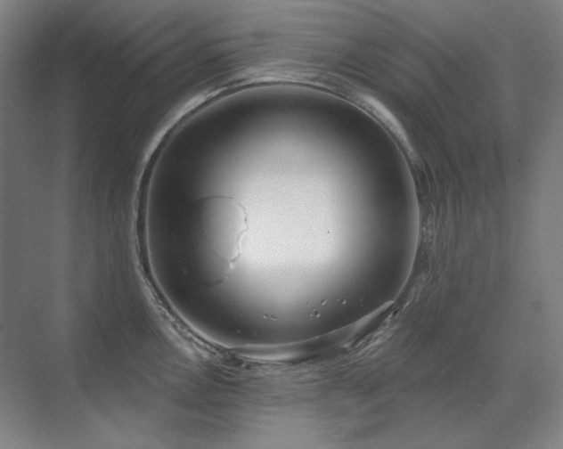 X0000071821146200606301246