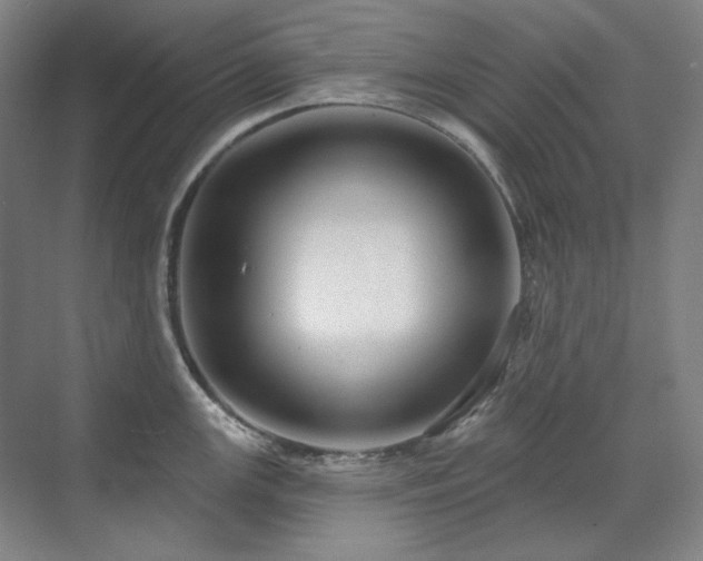 X0000071821147200606301246
