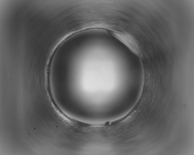X0000071821151200606301246