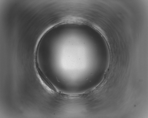 X0000071821152200606301246