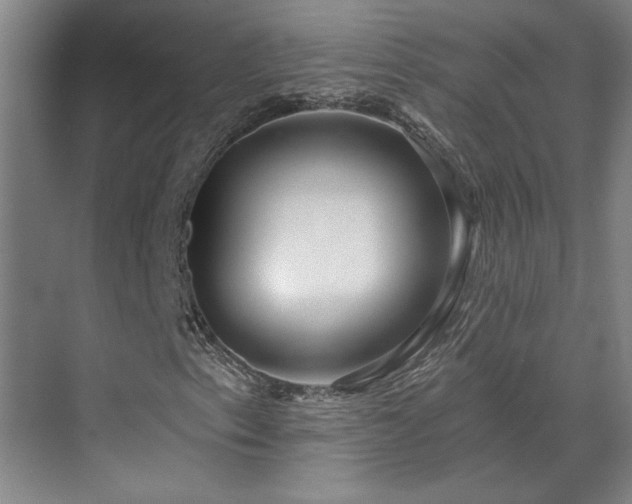 X0000071821153200606301245