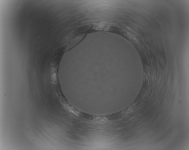 X0000071821154200606301245