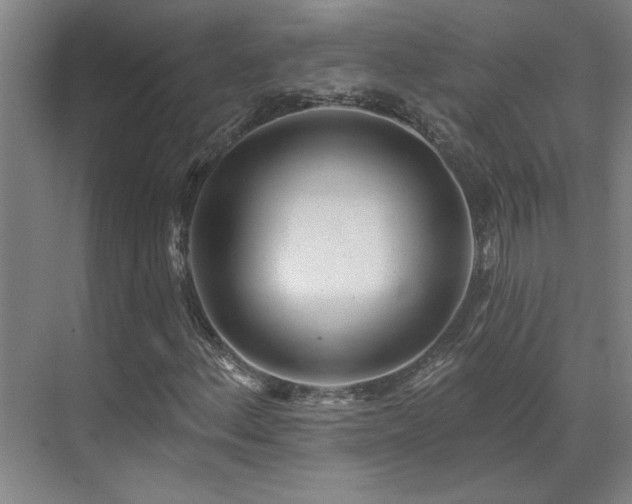 X0000071821156200606301245