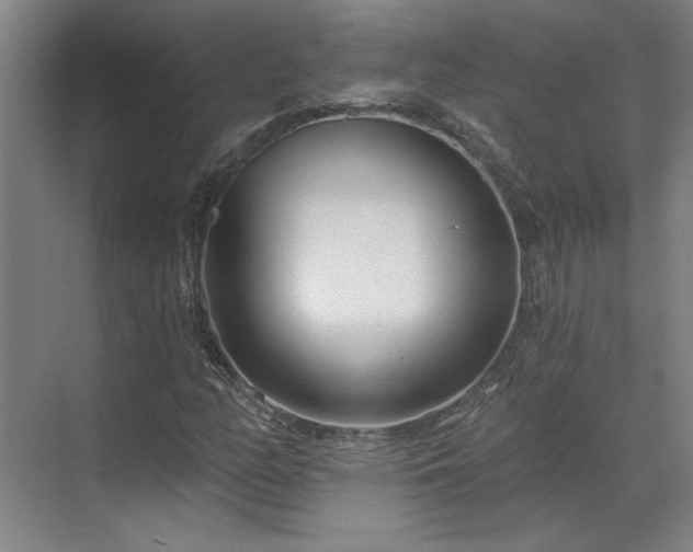 X0000071821158200606301245