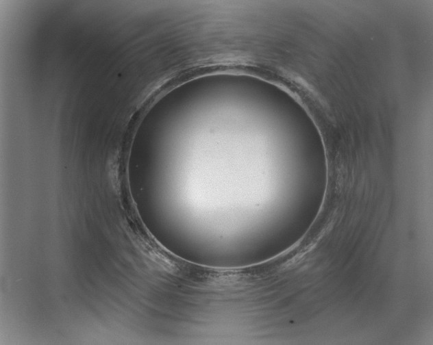 X0000071821162200606301245