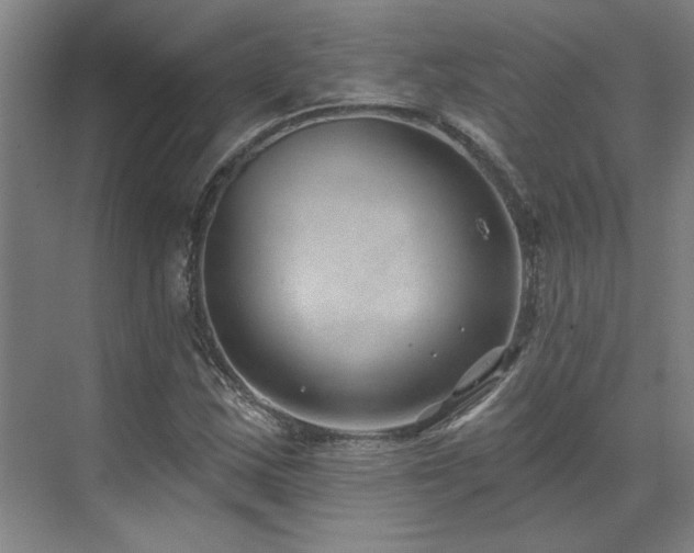 X0000071821163200606301245