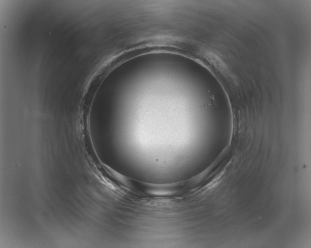 X0000071821164200606301245