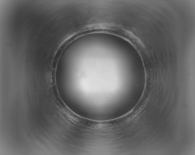 X0000071821166200606301245