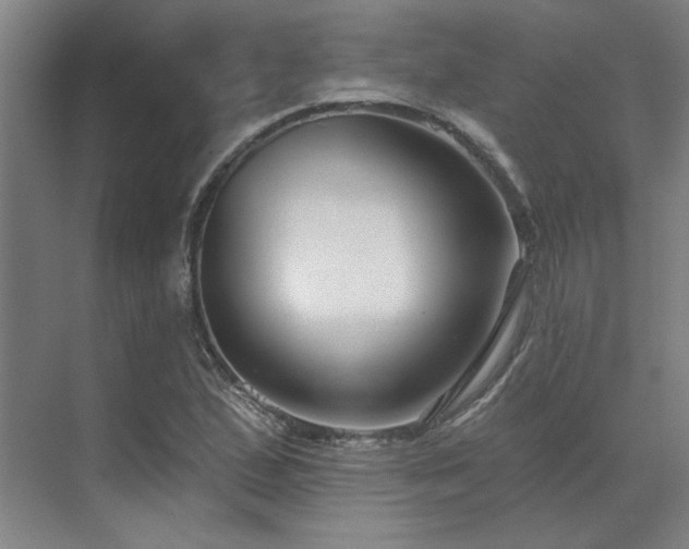 X0000071821167200606301245