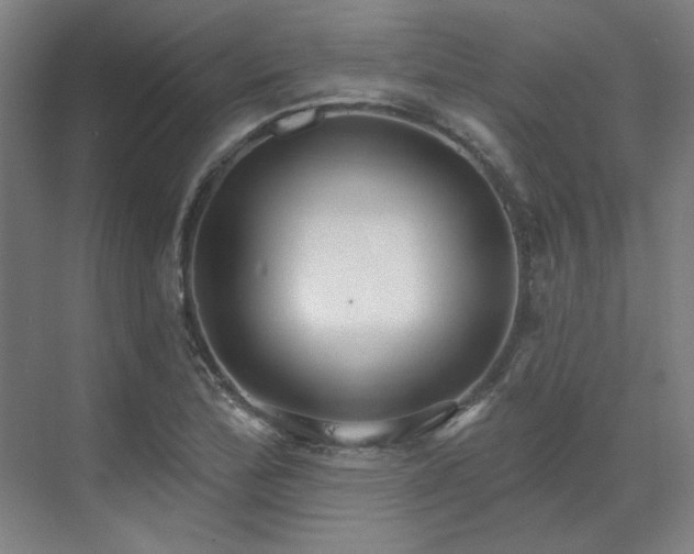 X0000071821172200606301245