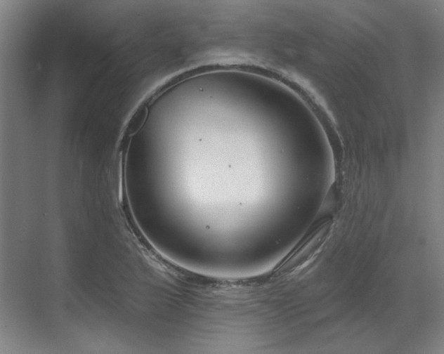 X0000071821175200606301245