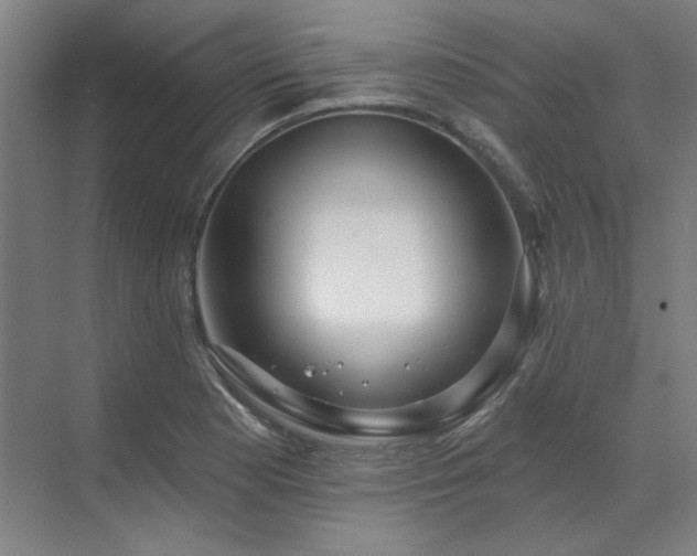 X0000071821177200606301245