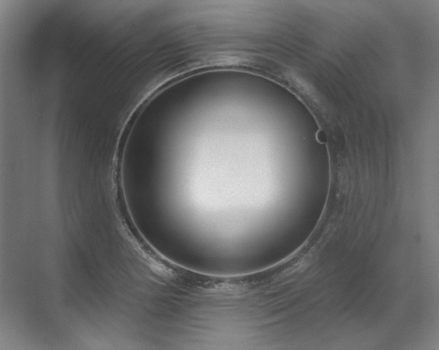 X0000071821178200606301245
