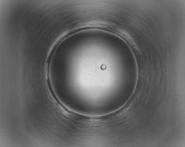 X0000071821180200606301245