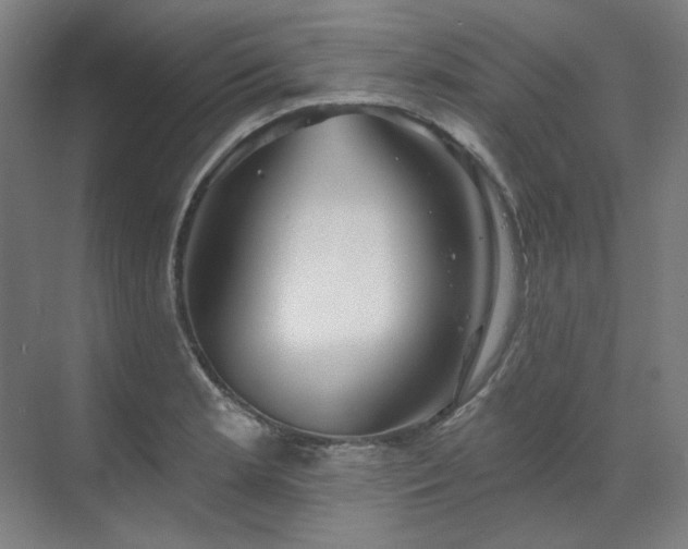 X0000071821181200606301245