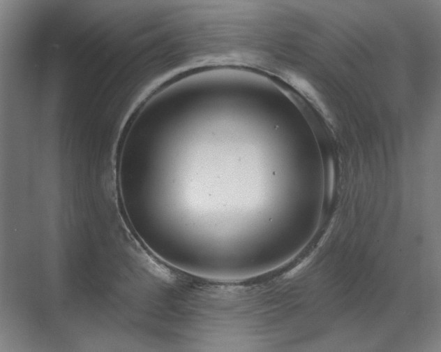 X0000071821184200606301245