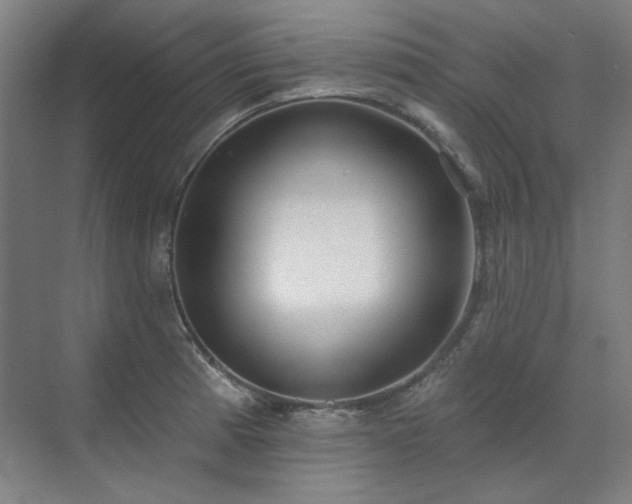 X0000071821185200606301245