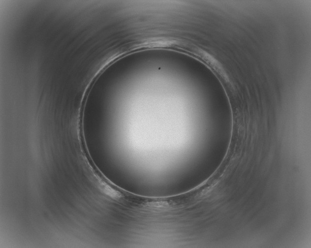 X0000071821186200606301245