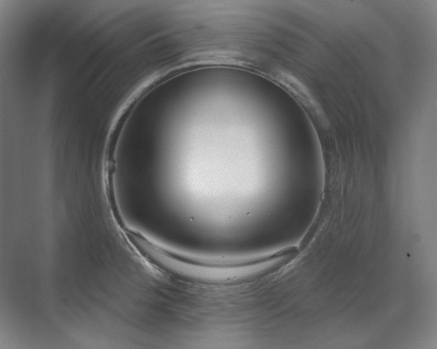 X0000071821188200606301245