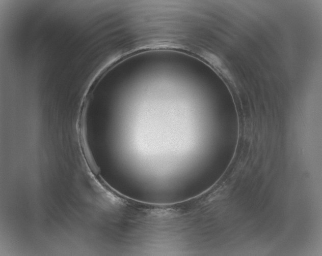X0000071821189200606301245