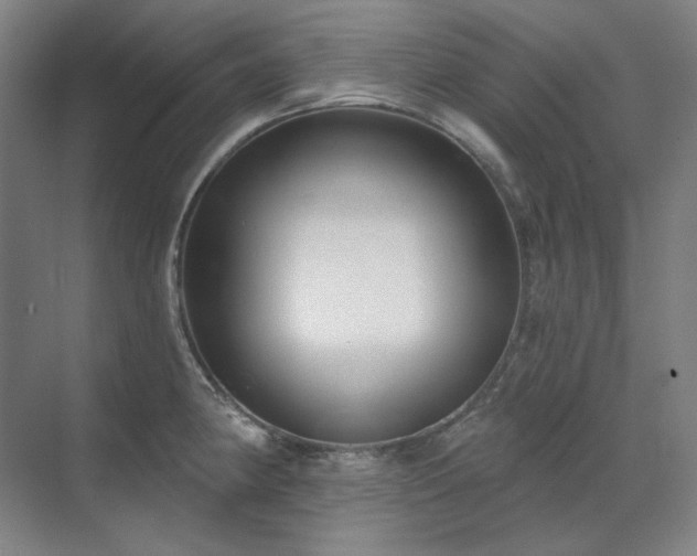 X0000071821190200606301245