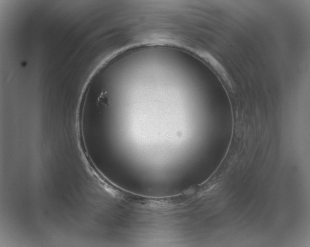X0000071821191200606301245