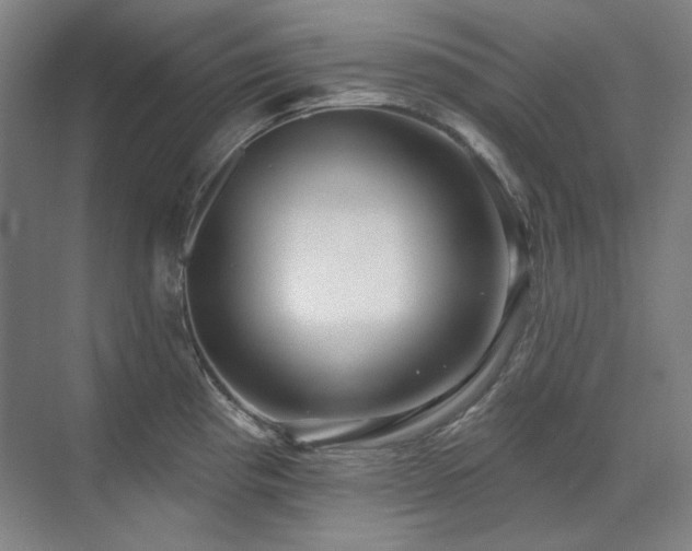 X0000071821193200606301245