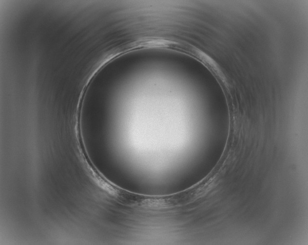 X0000071821194200606301245