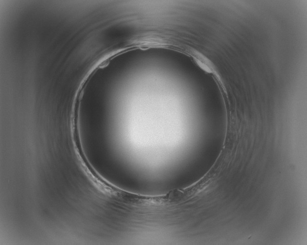 X0000071821195200606301245