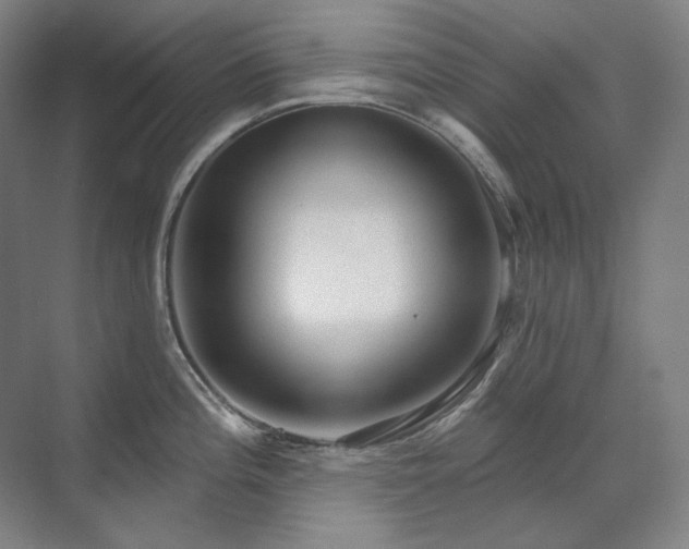X0000071821196200606301245