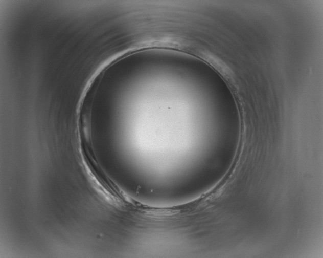 X0000071821200200606301245