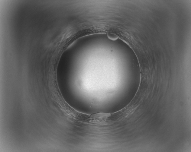 X0000071821201200606301244