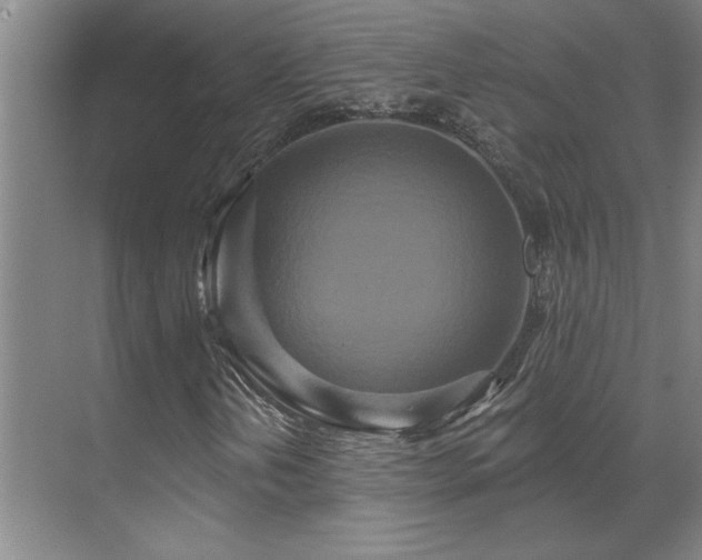 X0000071821202200606301244