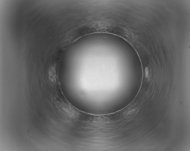 X0000071821203200606301244