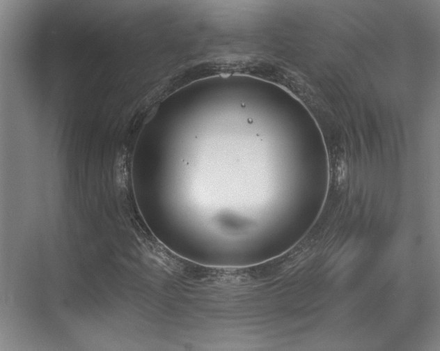 X0000071821204200606301244