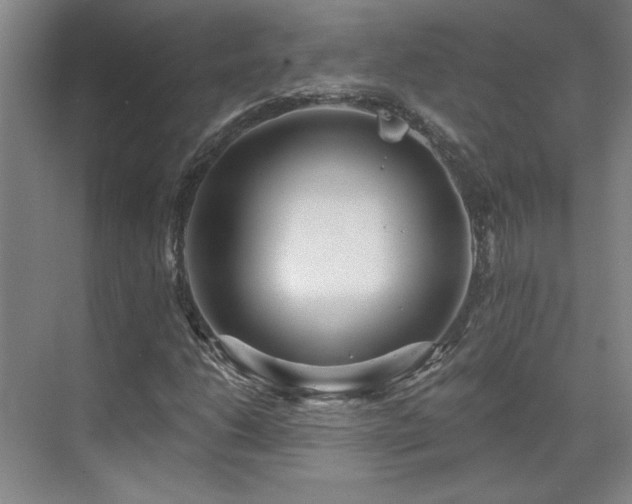 X0000071821206200606301244