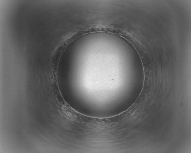 X0000071821207200606301244