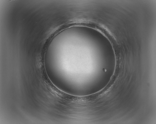 X0000071821213200606301244
