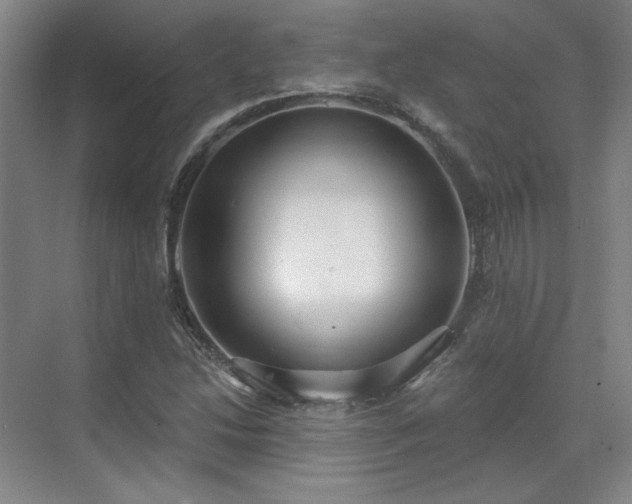 X0000071821214200606301244